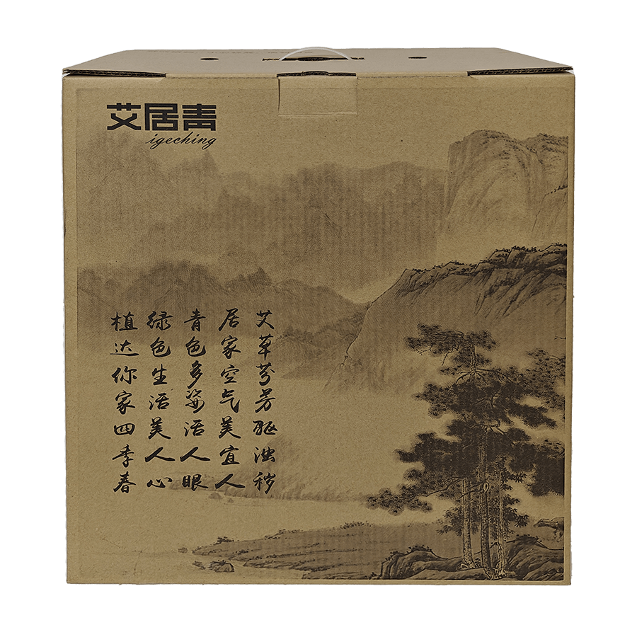 电商类纸箱包装